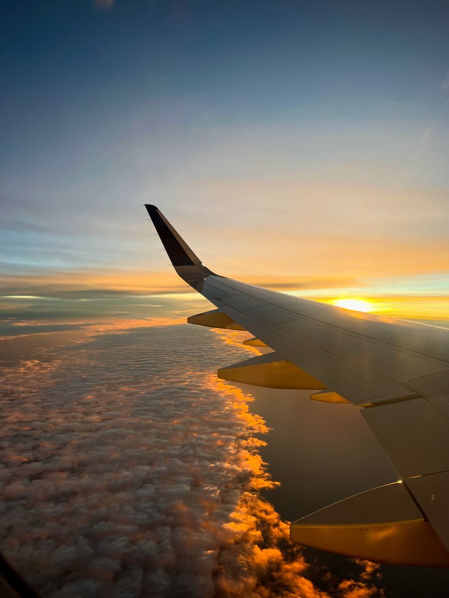 Flights: Search, Deals Price Tracking