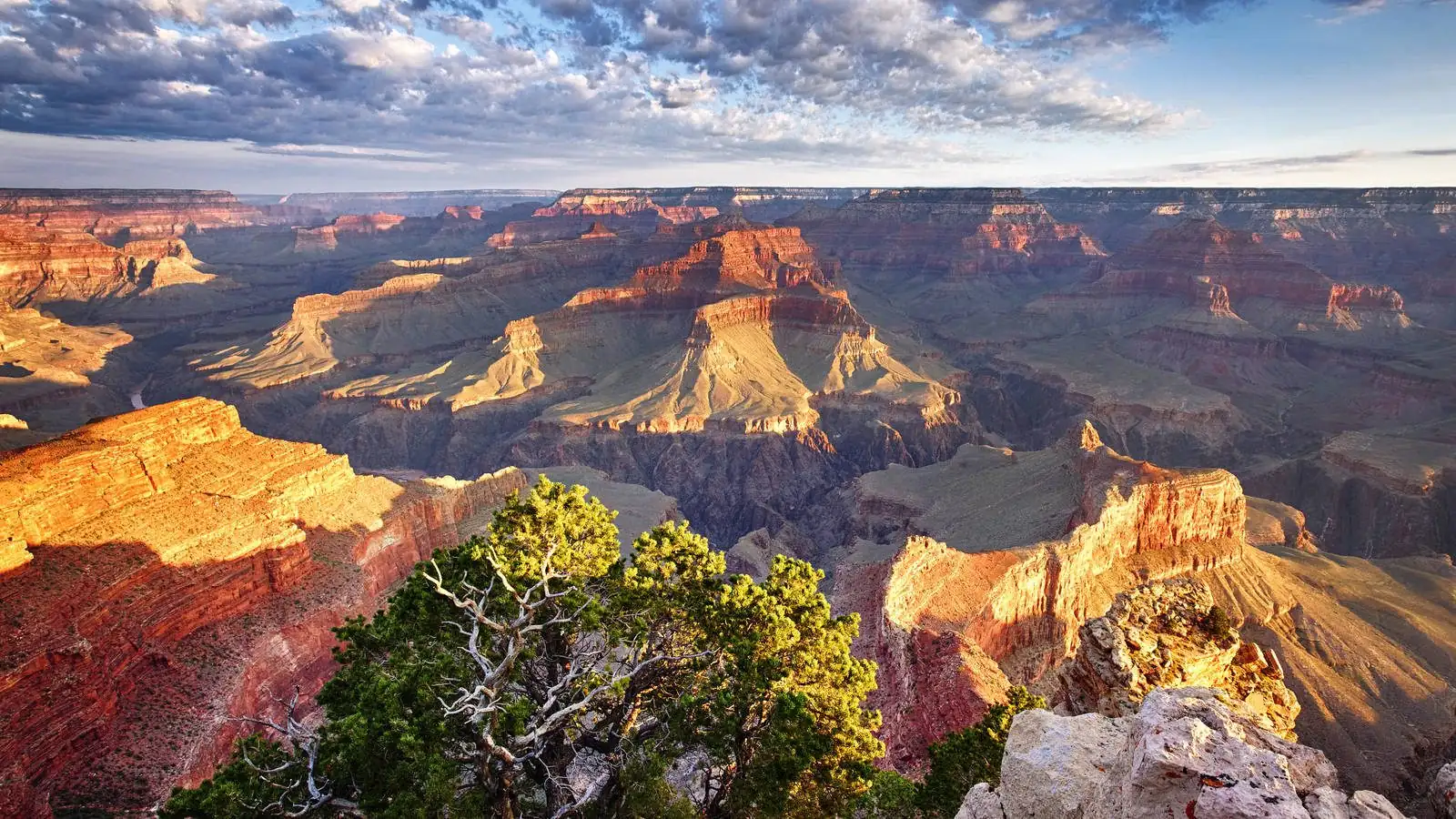 The Grand Canyon at golden hour