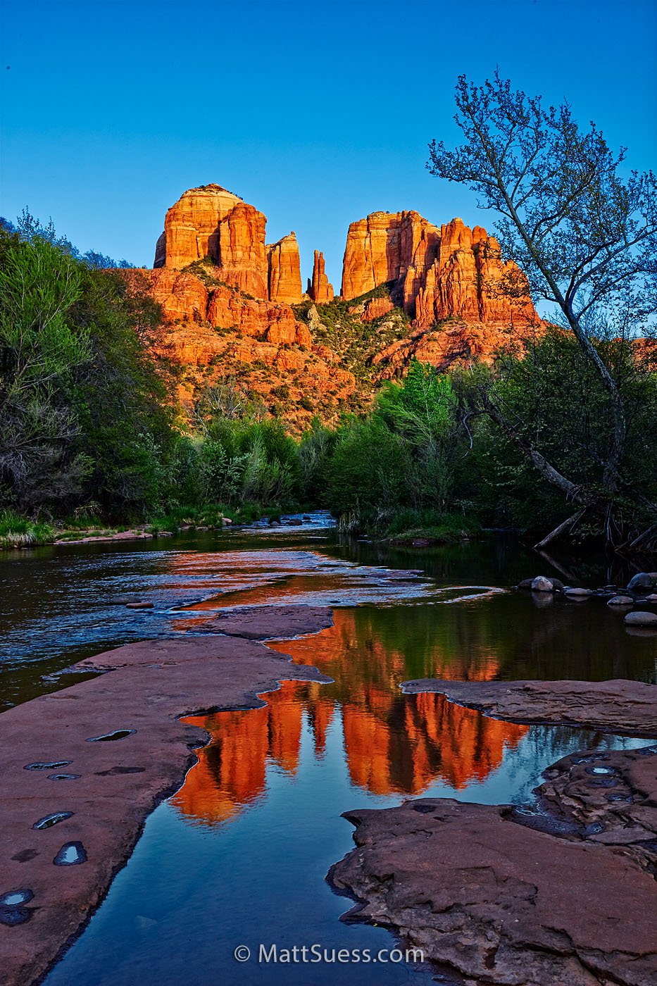 Cathedral Rock above Oak Creek in spring light