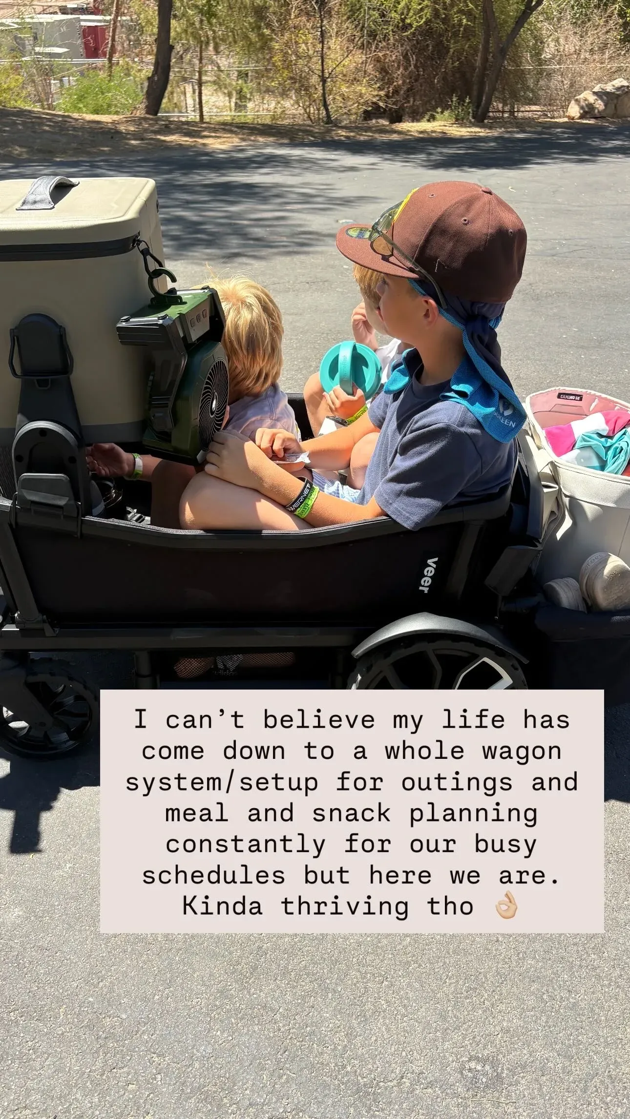 Jess's story photo of the boys in the loaded Veer wagon, with her caption about the wagon system and meal planning